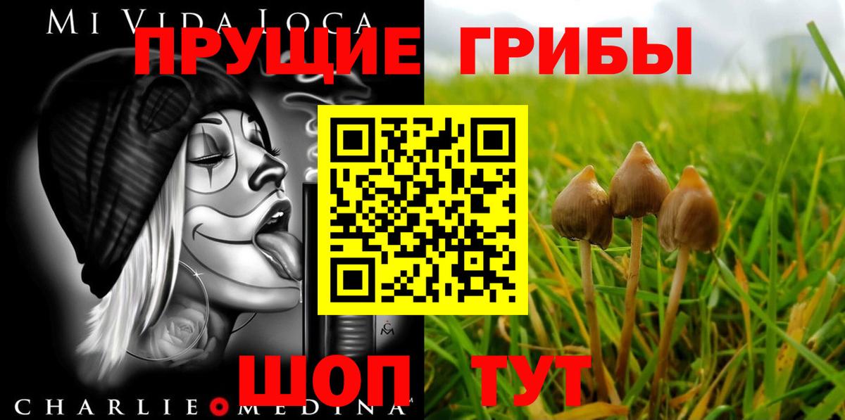 Галлюциногенные грибы Psilocybe  Вход с VPN  Фрязино 