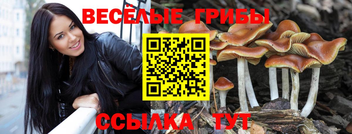 Галлюциногенные грибы Magic Shrooms Фрязино